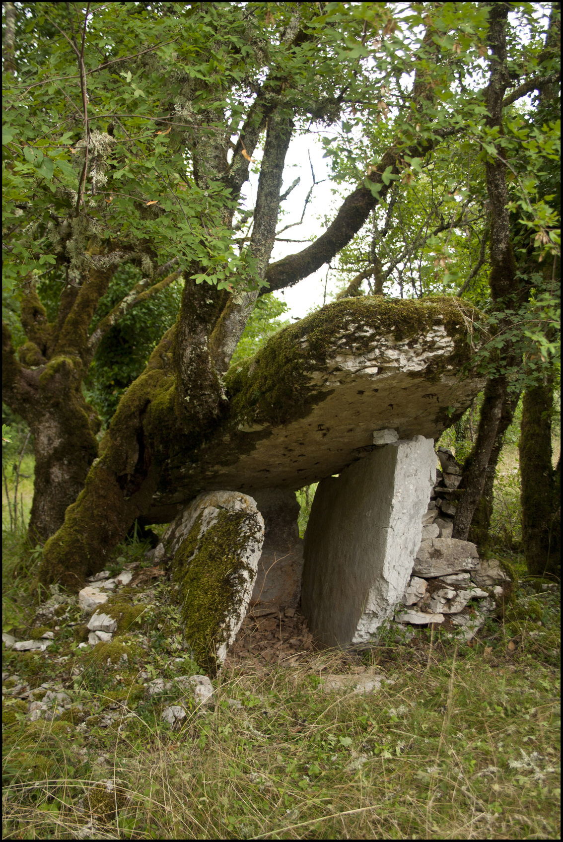 6 Dolmens de Saint-Chels